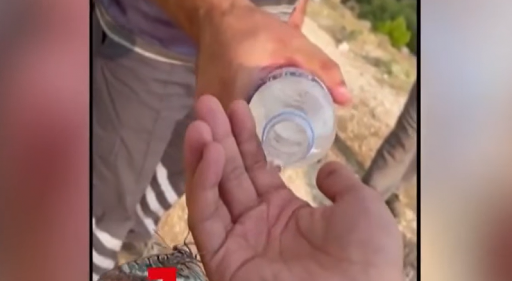 Moment emoţionant surprins în imagini: Un fluture însetat s-a aşezat pe mâna unui pompier pentru a soarbe câteva picături de apă